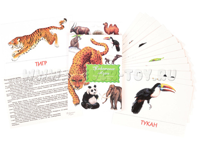 Дидактические карточки "Животные Азии"